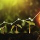 Environmental Economic Empowerment Initiatives in Rwanda